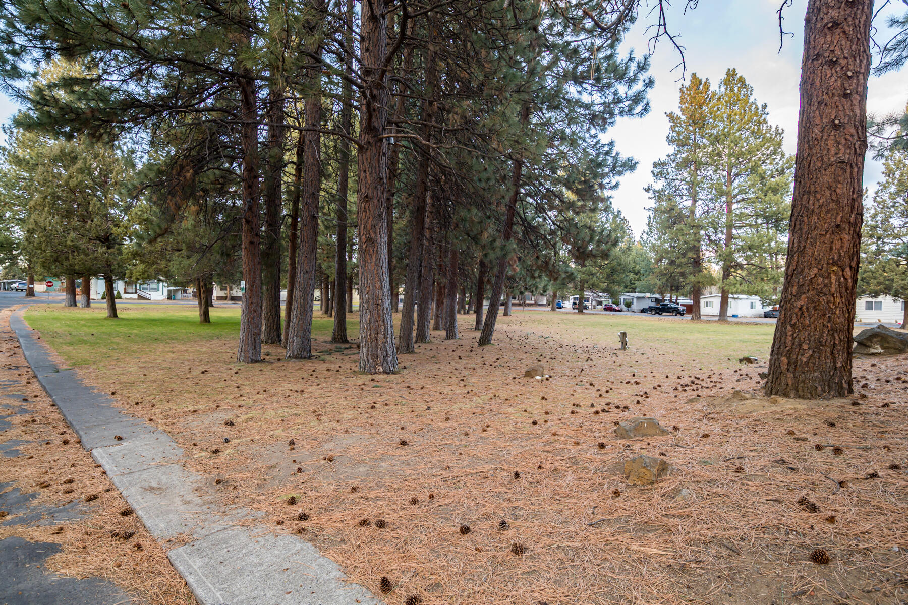 Romaine Village - Residential