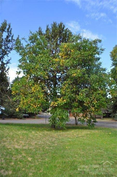 Bend Park - Residential