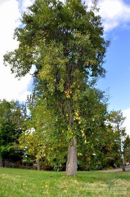 Bend Park - Residential