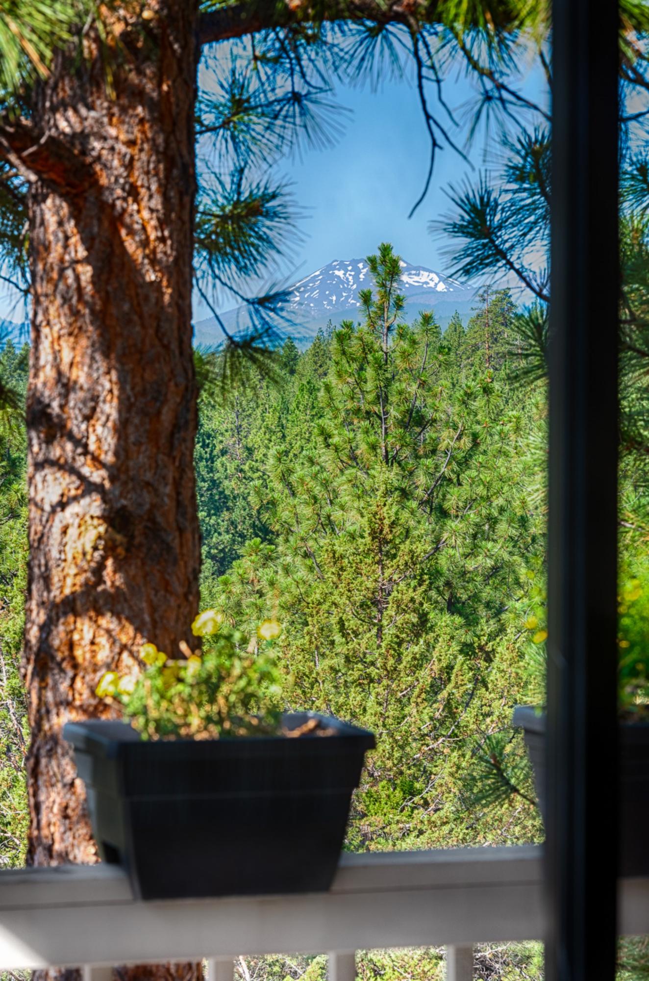 The Farm - Residential