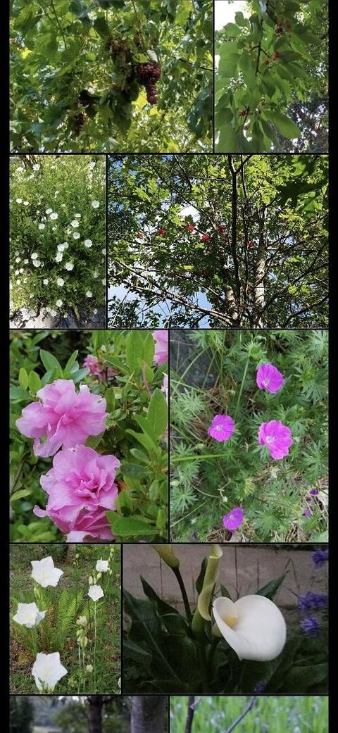 Tiny photo for 234 Penny Lane, Grants Pass, OR 97527 (MLS # 220213020)