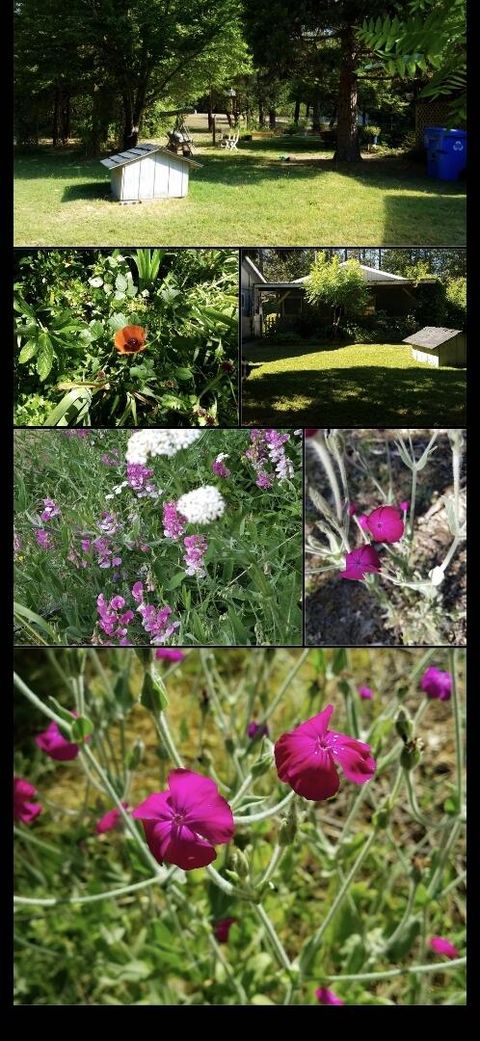 Tiny photo for 234 Penny Lane, Grants Pass, OR 97527 (MLS # 220213020)