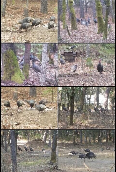 Tiny photo for 234 Penny Lane, Grants Pass, OR 97527 (MLS # 220213020)