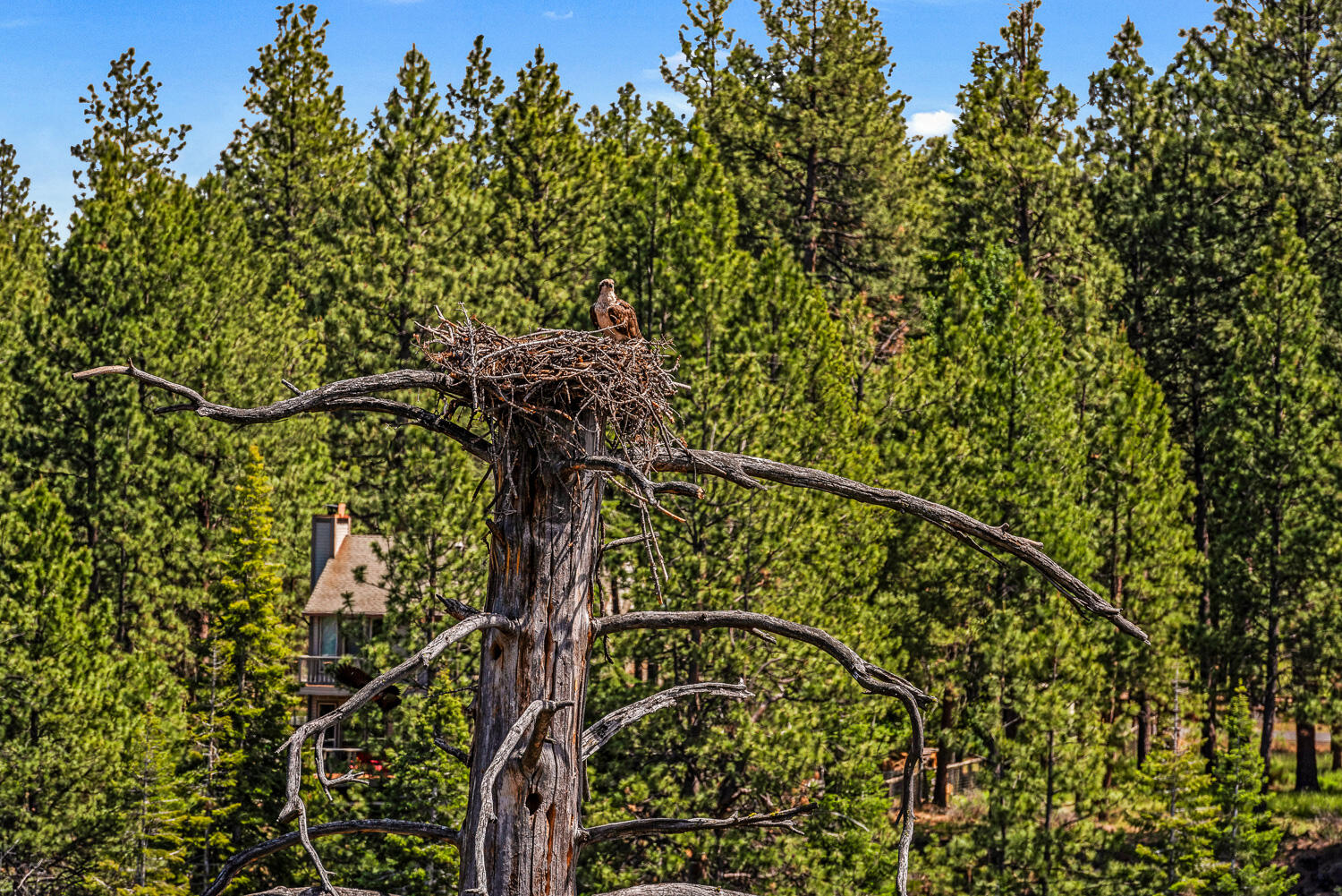 PointsWest - Residential