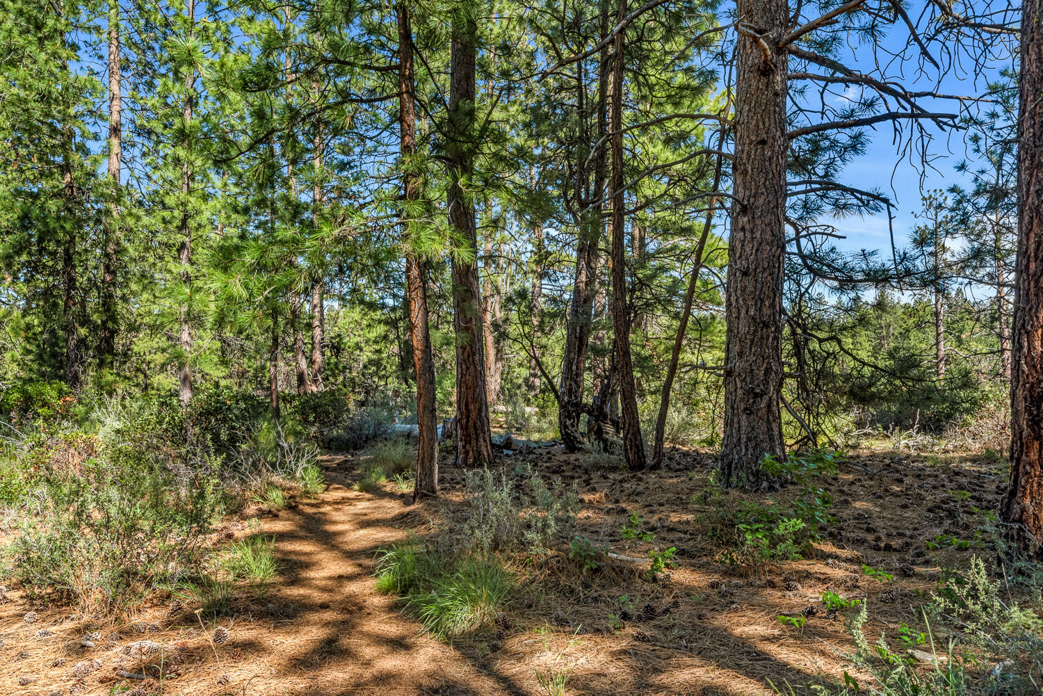 PointsWest - Residential