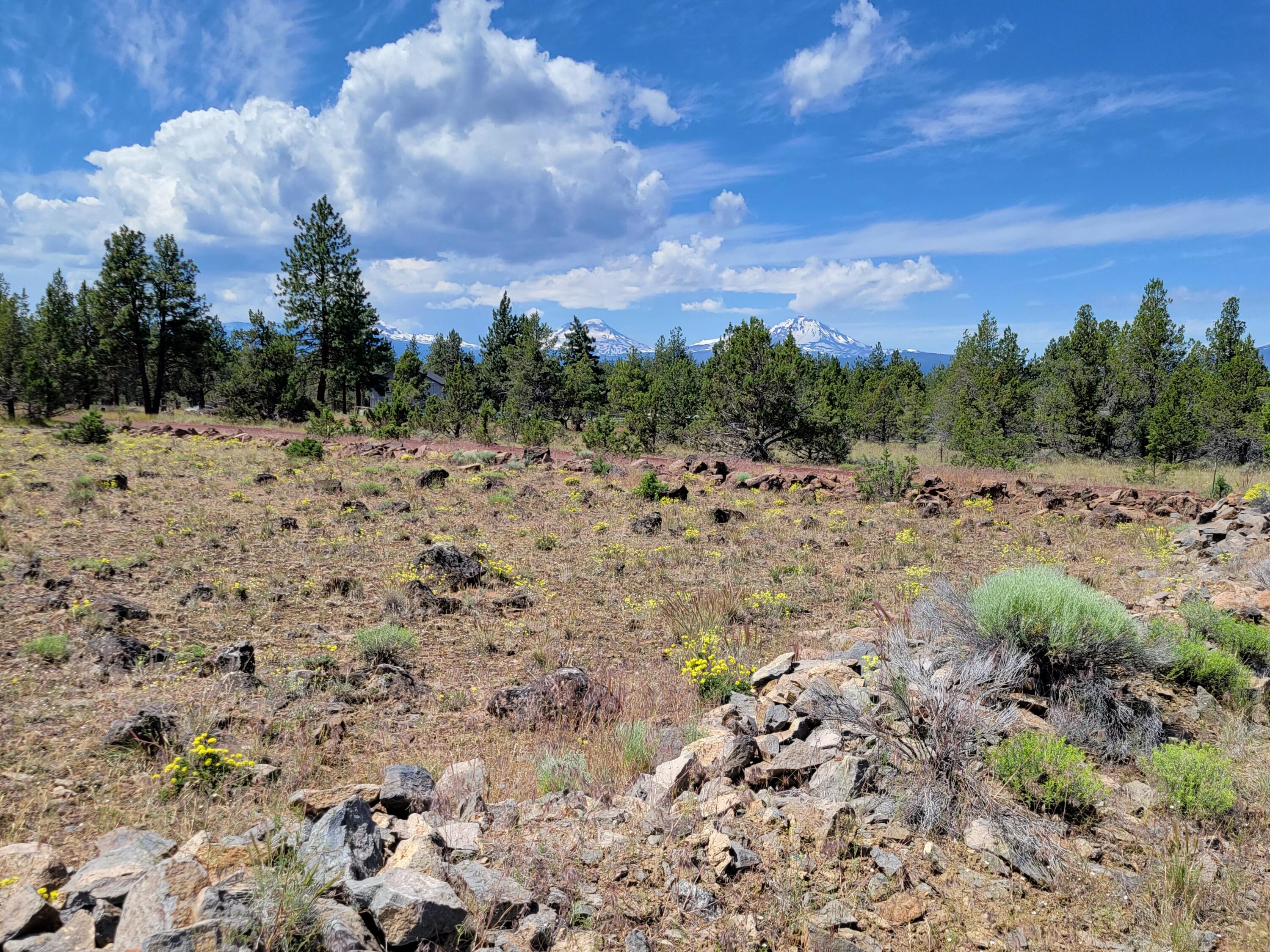 Panoramic View Est - Residential