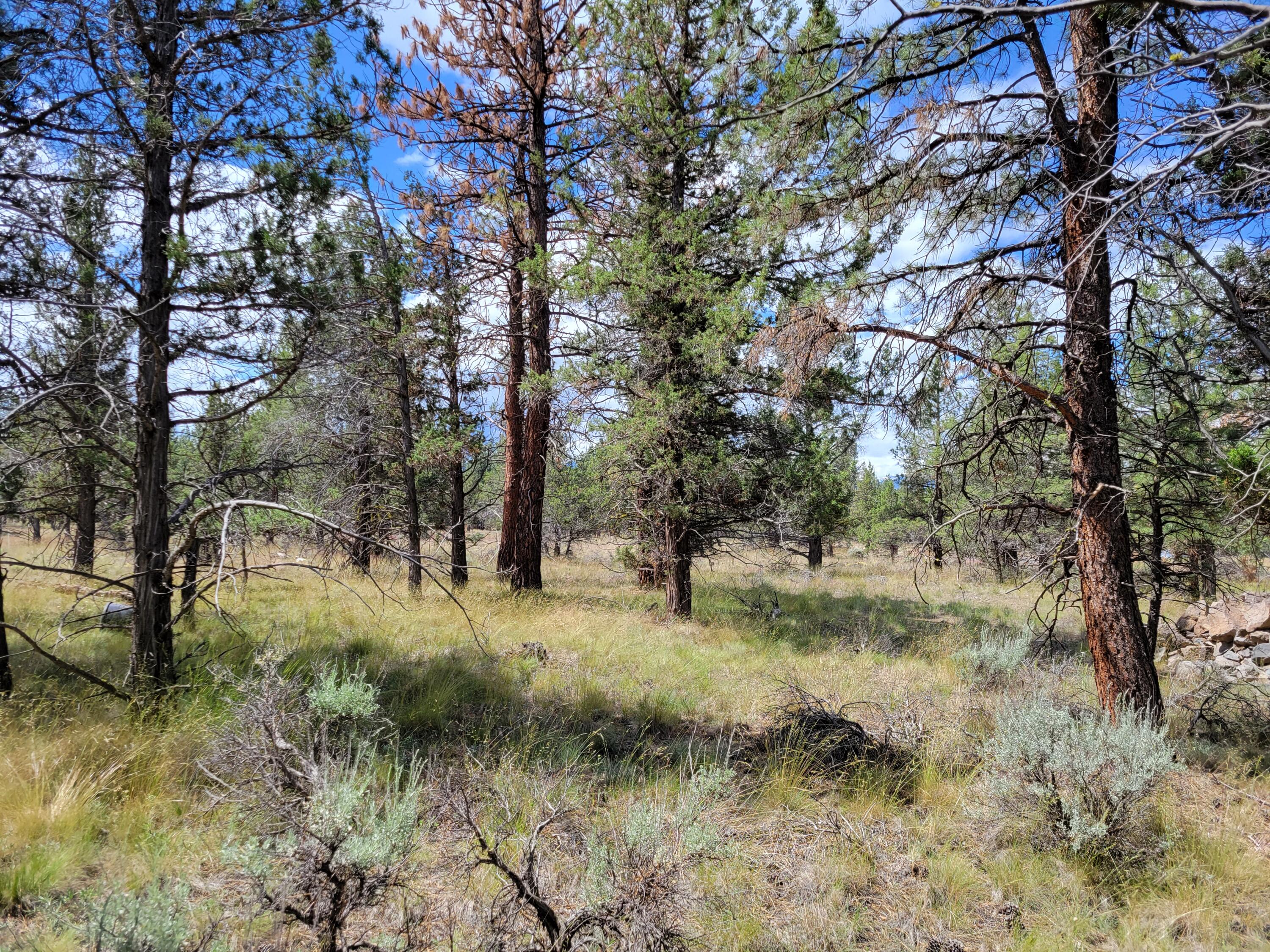 Panoramic View Est - Residential