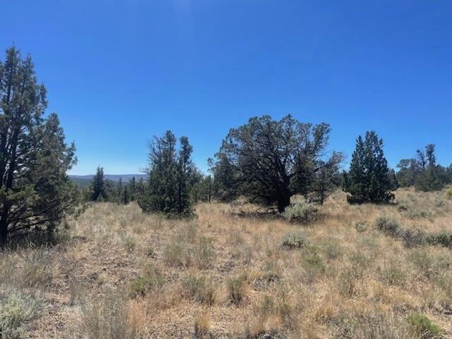 Gently sloped beautiful 5+ acre property to build your dream home on. Lot backs to huge private parcel on Meyers Butte. Lot next door is also available for that person who wants two side by side homes. Great views and night views of Prineville. Located just before Prineville makes for an easy commute to Redmond, Bend, Or Redmond Airport. Nice neighborhood of many upscale homes