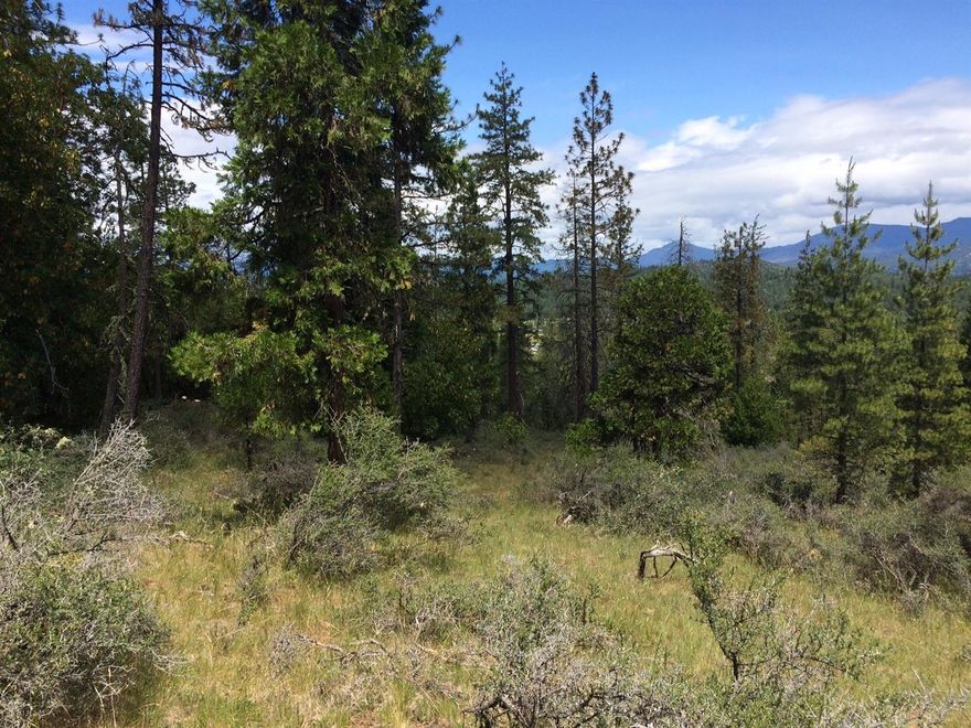 Country roads... lead to this 8.48 acres on the flanks of Bolt Mountain in the Jerome Prairie area. Privacy is king here, and the perks include a 12 GPM well, a shared driveway that's been roughed in, a standard septic approval plus views of the valley and mountains and beyond, just the spot for your custom home or manufactured home.