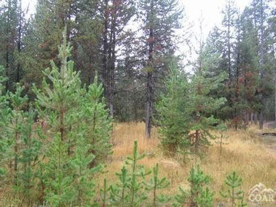 Great level building site located in Oregon Water Wonderland 1. Septic approved. Water at street. Less than 10 minutes from Sunriver.
