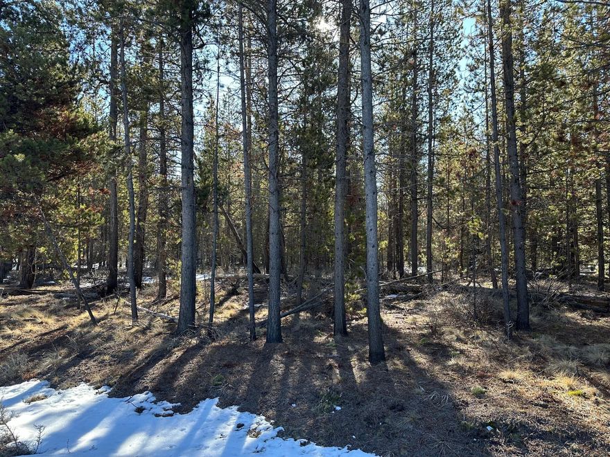 Nice, wooded, and developable property in the Sun Country Estates subdivision. Property is flat with trees which can easily be removed to accommodate a stick built or manufactured home once cleared. The property is on a gravel road and close to Three Rivers South area south of Sunriver. Buyer to do due diligence. Contact your broker today and come check out this great piece of property in Central Oregon.