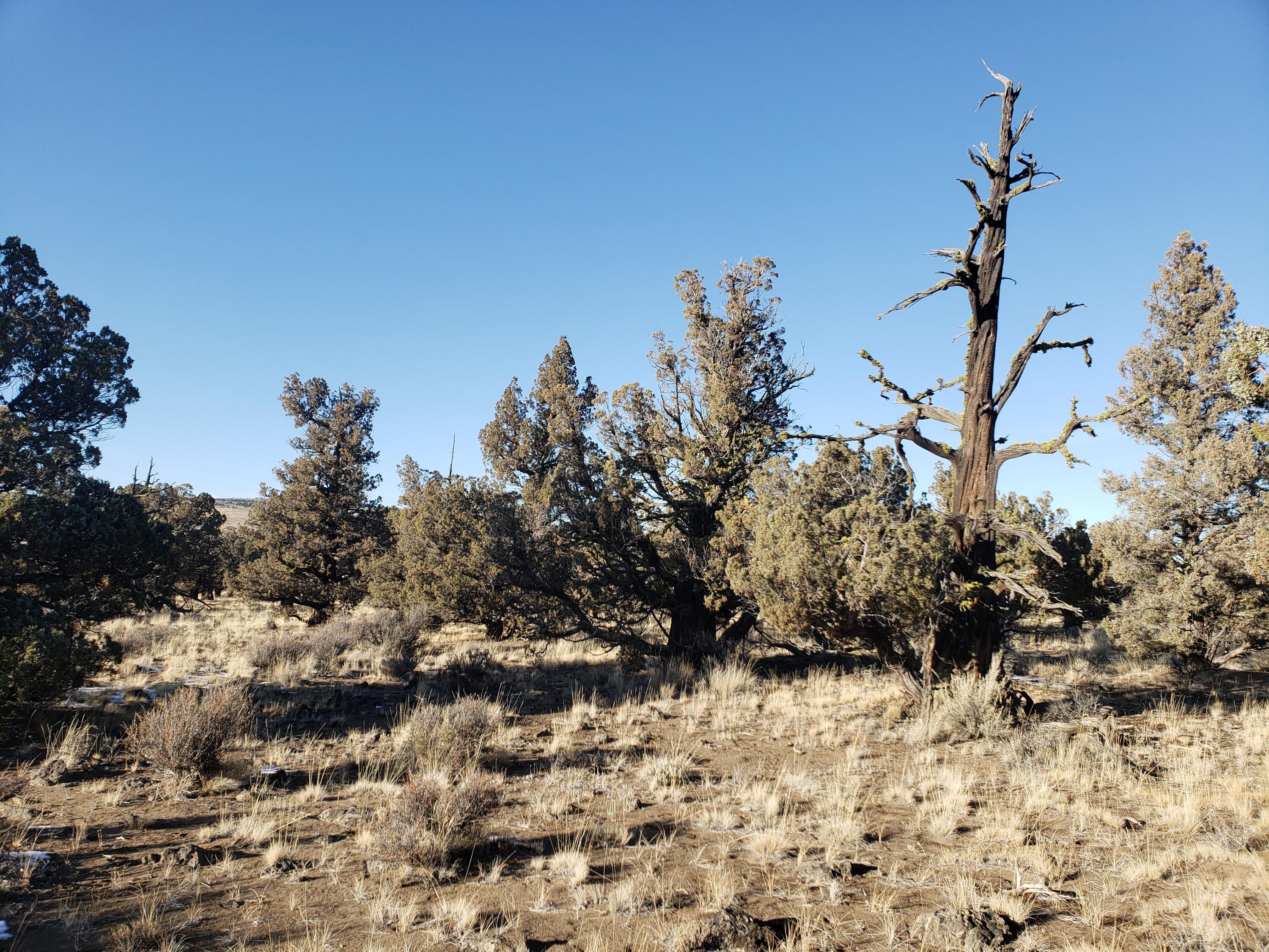 1400 Golden View Ranch