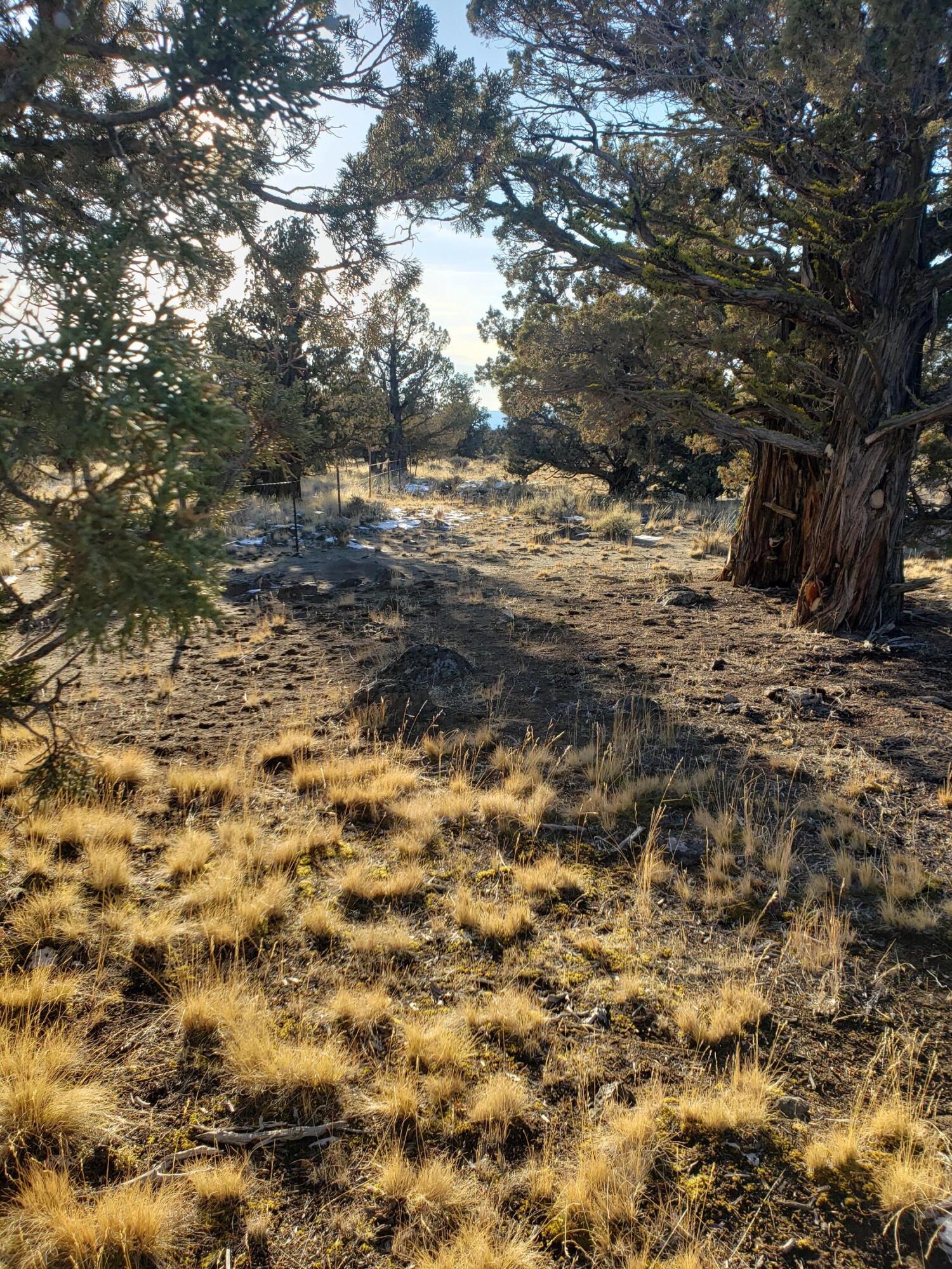 1400 Golden View Ranch