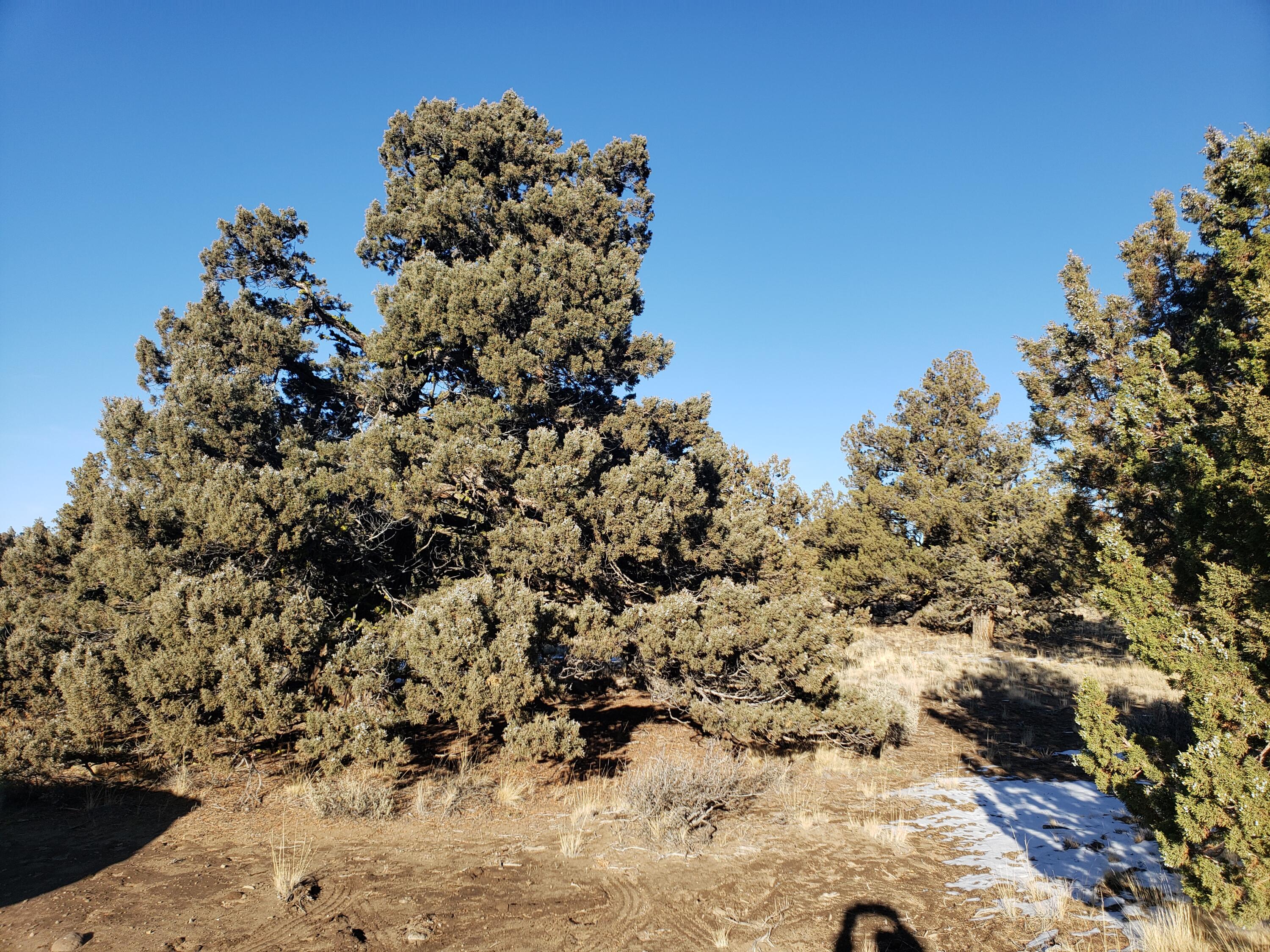 1400 Golden View Ranch