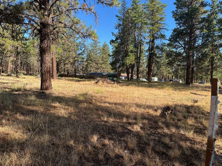 This is just not ''ANOTHER LOT'', this is one you do not want to miss out on. It is located just out of Bonanza, mostly fenced, power very nearby, in an area known for good wells and standard septic systems, lots of choices for home sites. Property is mostly flat, well treed with majestic ponderosa pines, gentle slope on backside of property.  There truly are not many lots available as nice as this one.