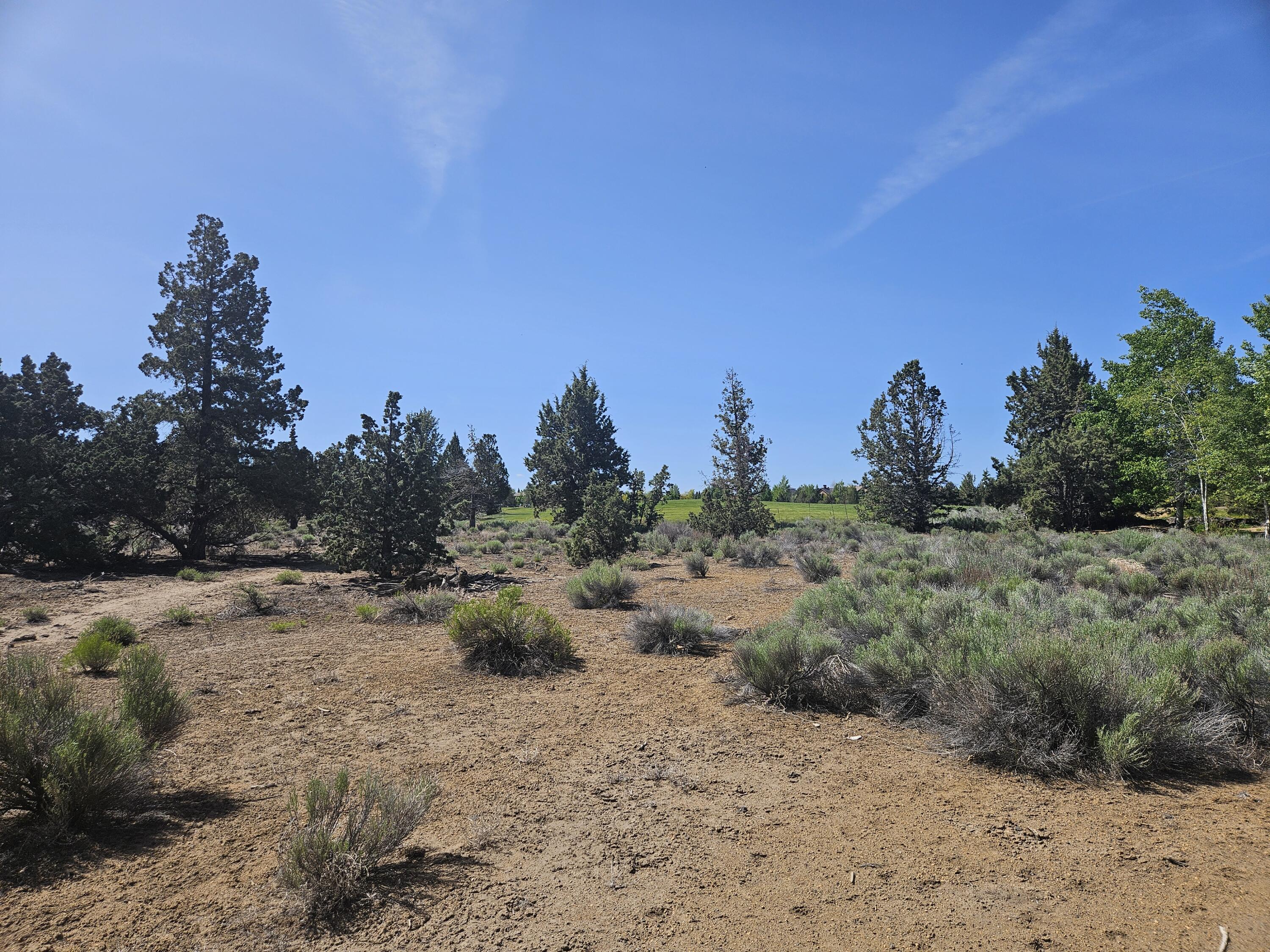 23031 Brushline Court Lot 120