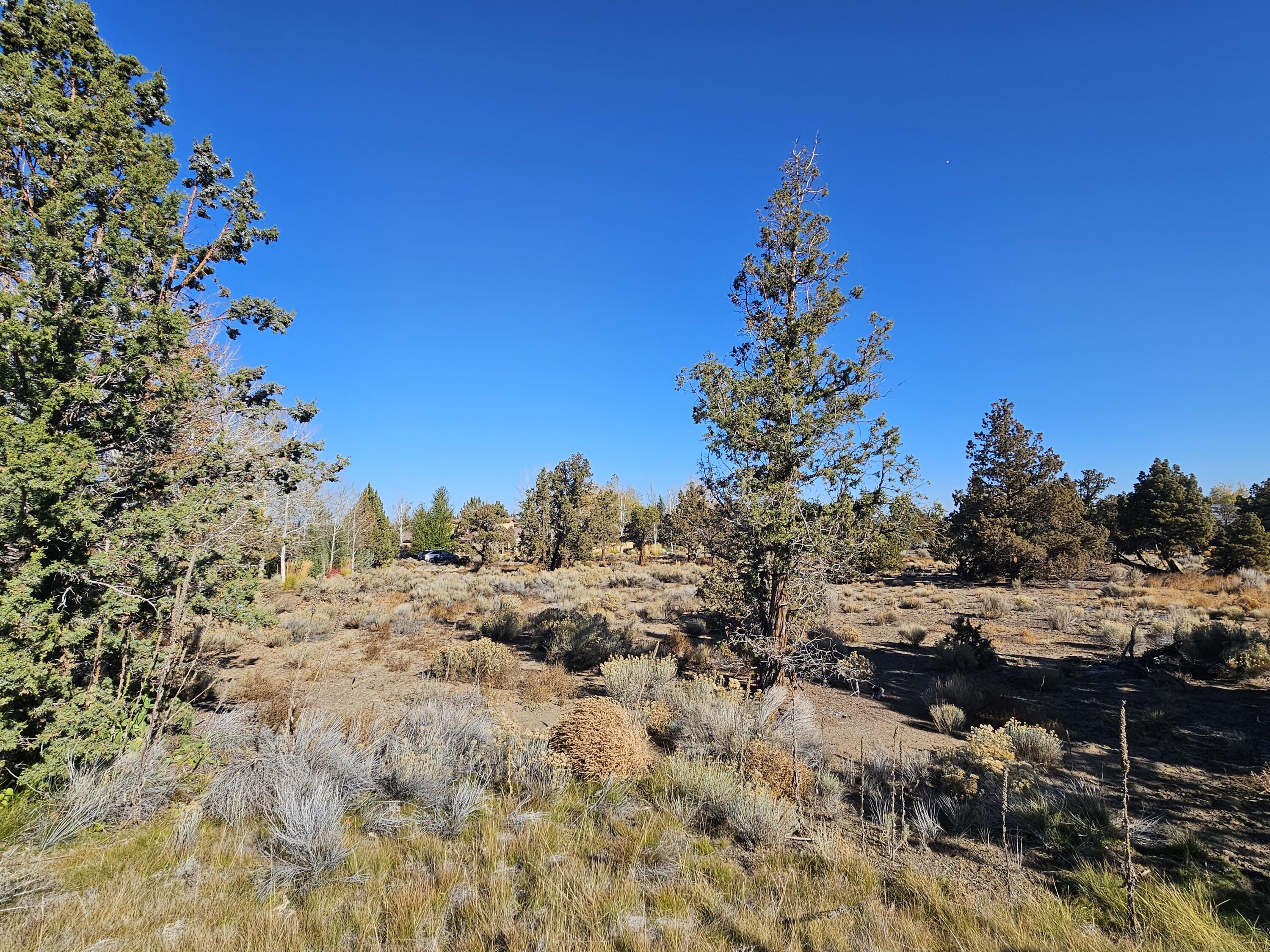 23031 Brushline Court Lot 120