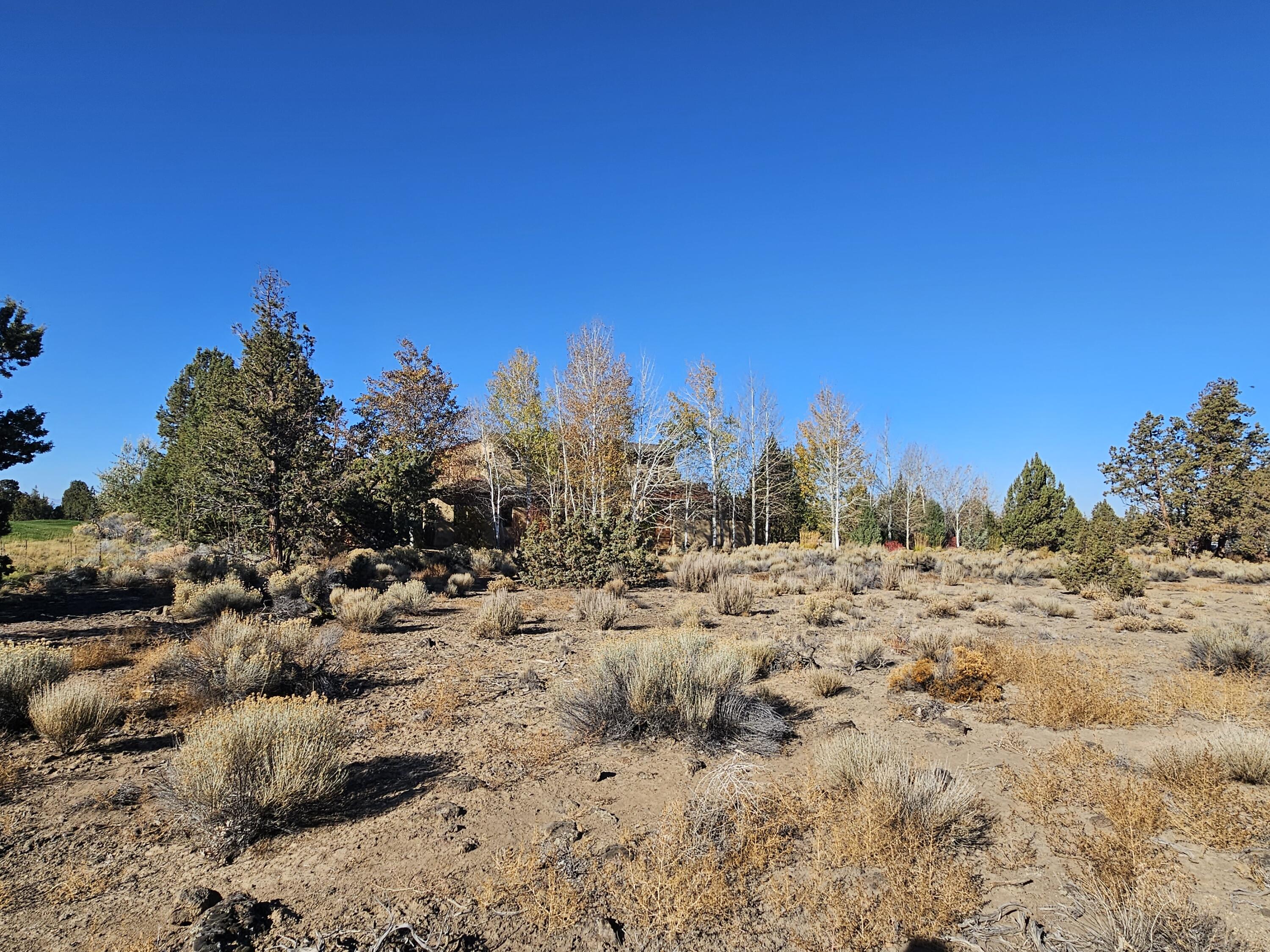 23031 Brushline Court Lot 120