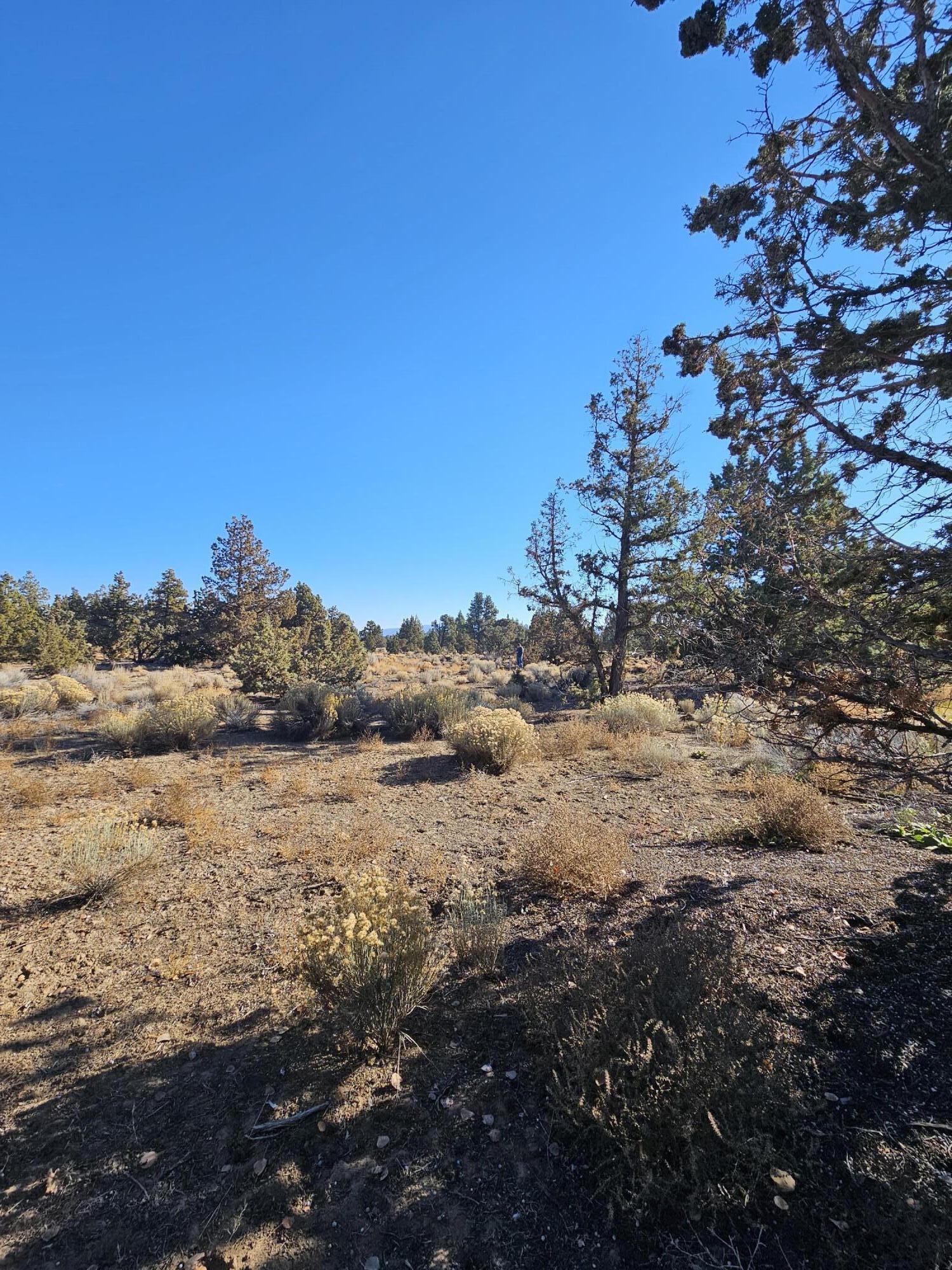 23031 Brushline Court Lot 120