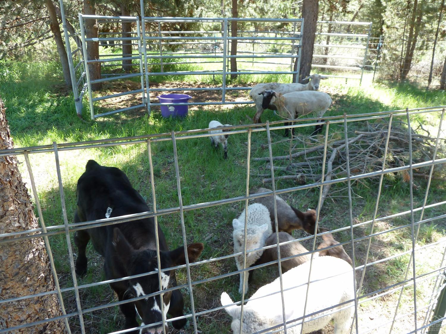 LazyRS - Residential