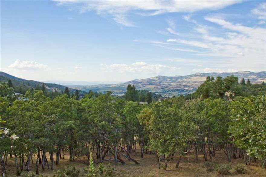 Fantastic one acre lot in Strawberry Lane location offers superb views and wonderful privacy. With beautiful trees and open to plenty of sunlight, this is a great opportunity to build your custom home on an extra large, in-town parcel. City services available. Note that if you like, Suncrest Homes, Inc. can finance the construction and work with you to create your perfect home. Additional Falling Acorn Estate lots available.