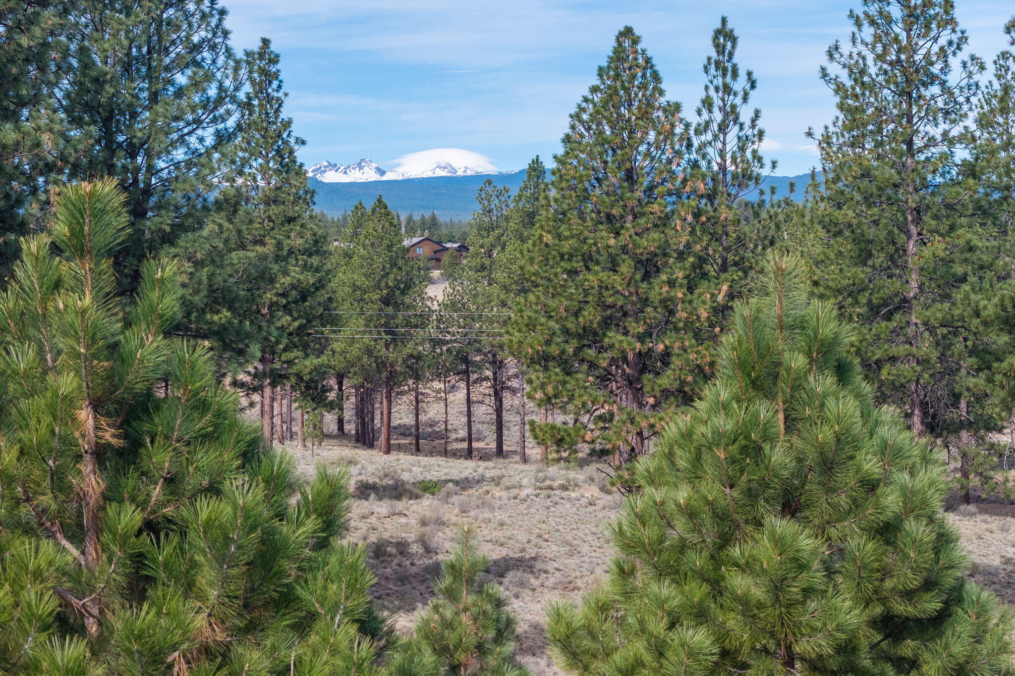 61853 Hosmer Lake Drive Lot 375