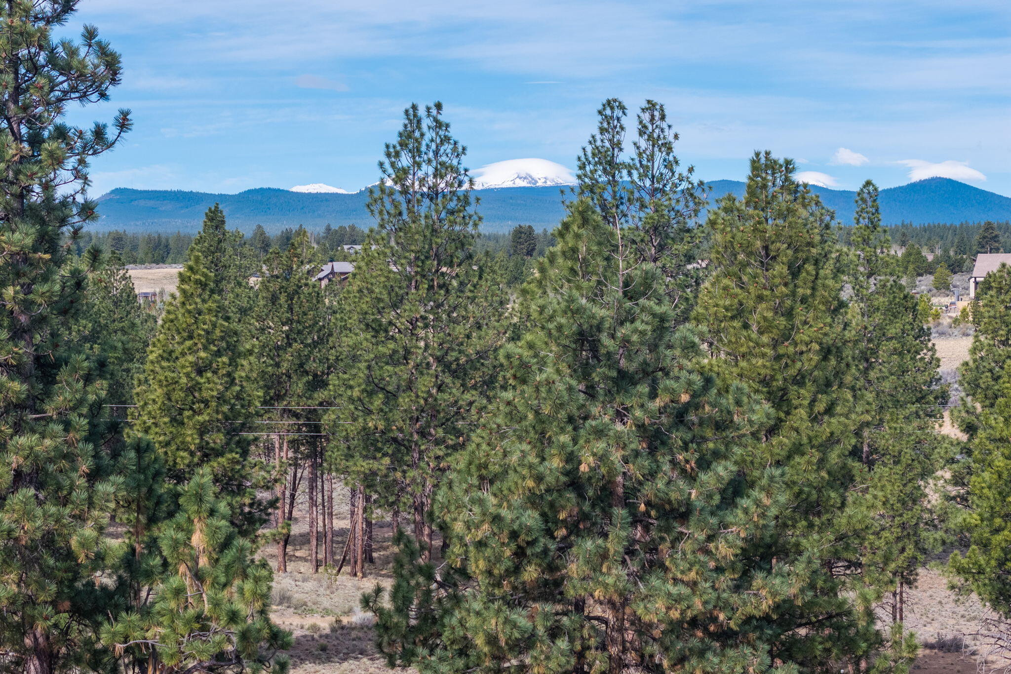 61853 Hosmer Lake Drive Lot 375