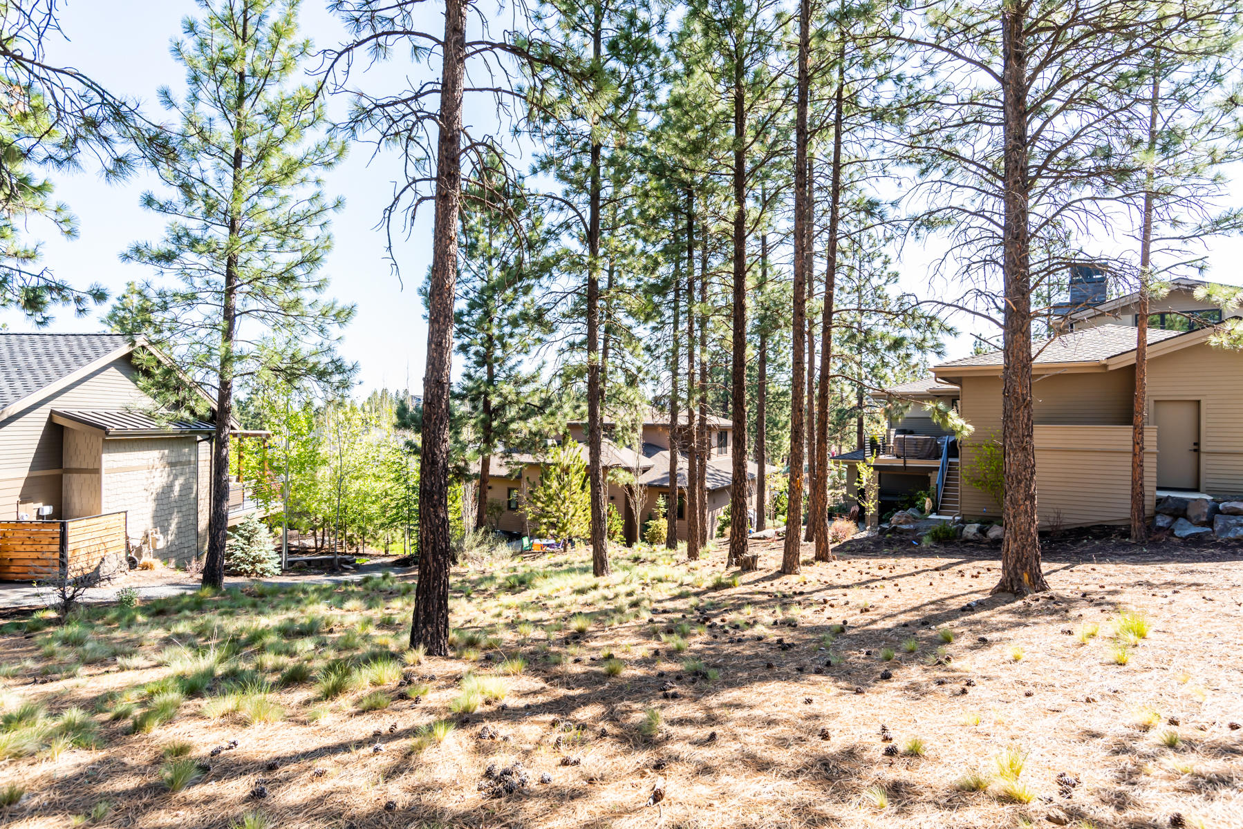 Three Pines Ridge - Land