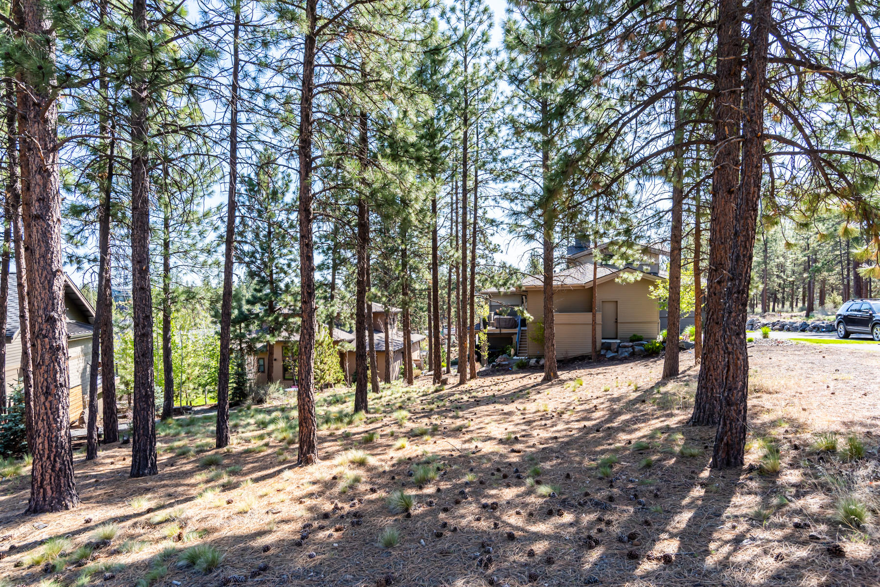 Three Pines Ridge - Land
