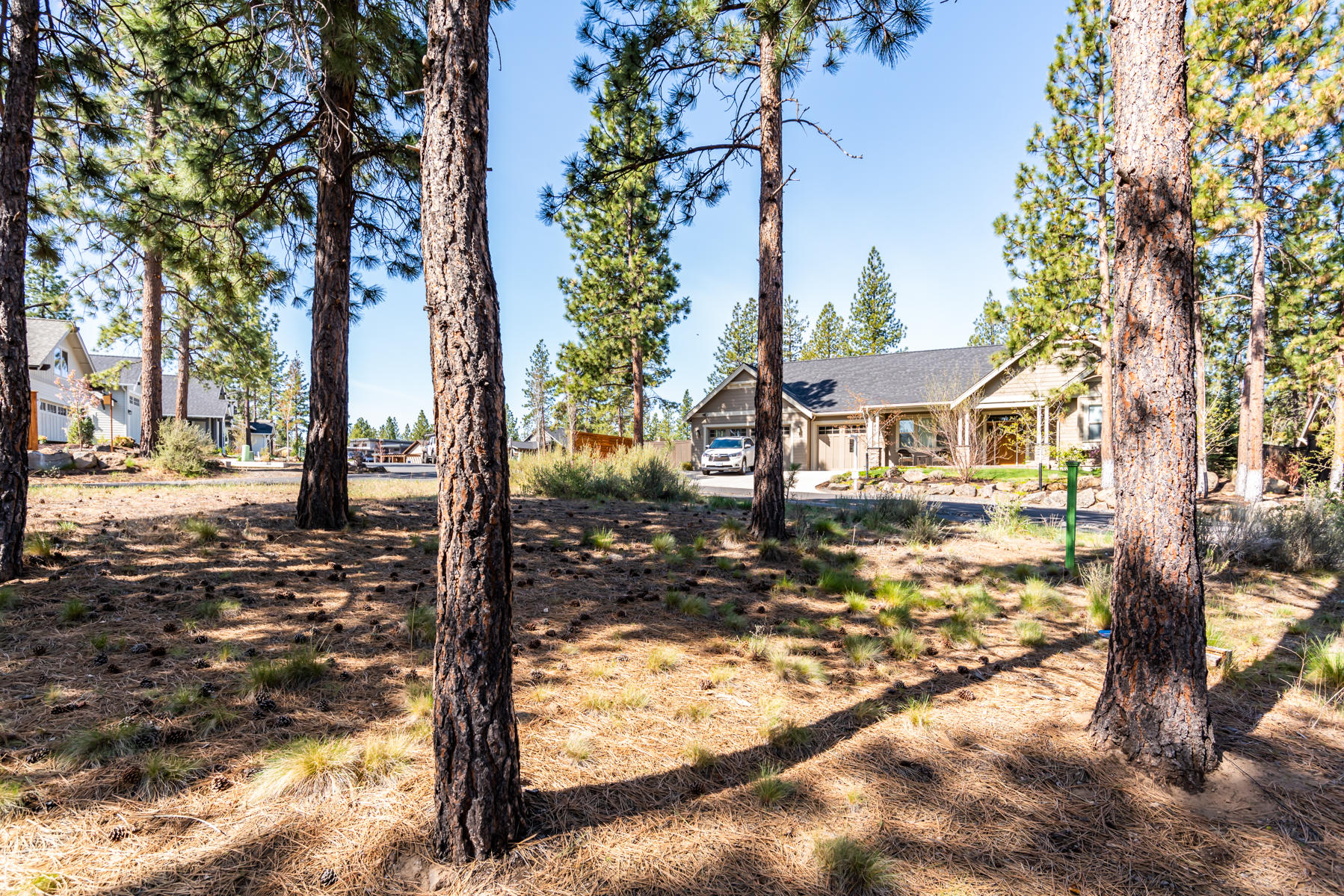 Three Pines Ridge - Land