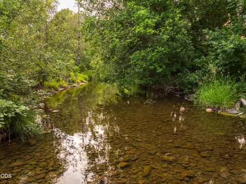Tiny photo for 8489 Redwood Highway, Wilderville, OR 97543 (MLS # 220223743)