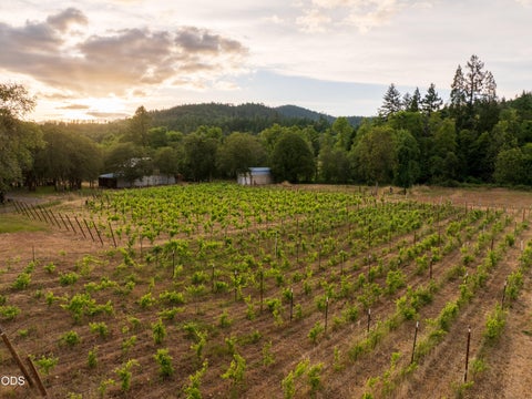 Tiny photo for 8489 Redwood Highway, Wilderville, OR 97543 (MLS # 220223743)