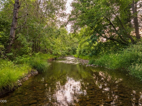 Tiny photo for 8489 Redwood Highway, Wilderville, OR 97543 (MLS # 220223743)