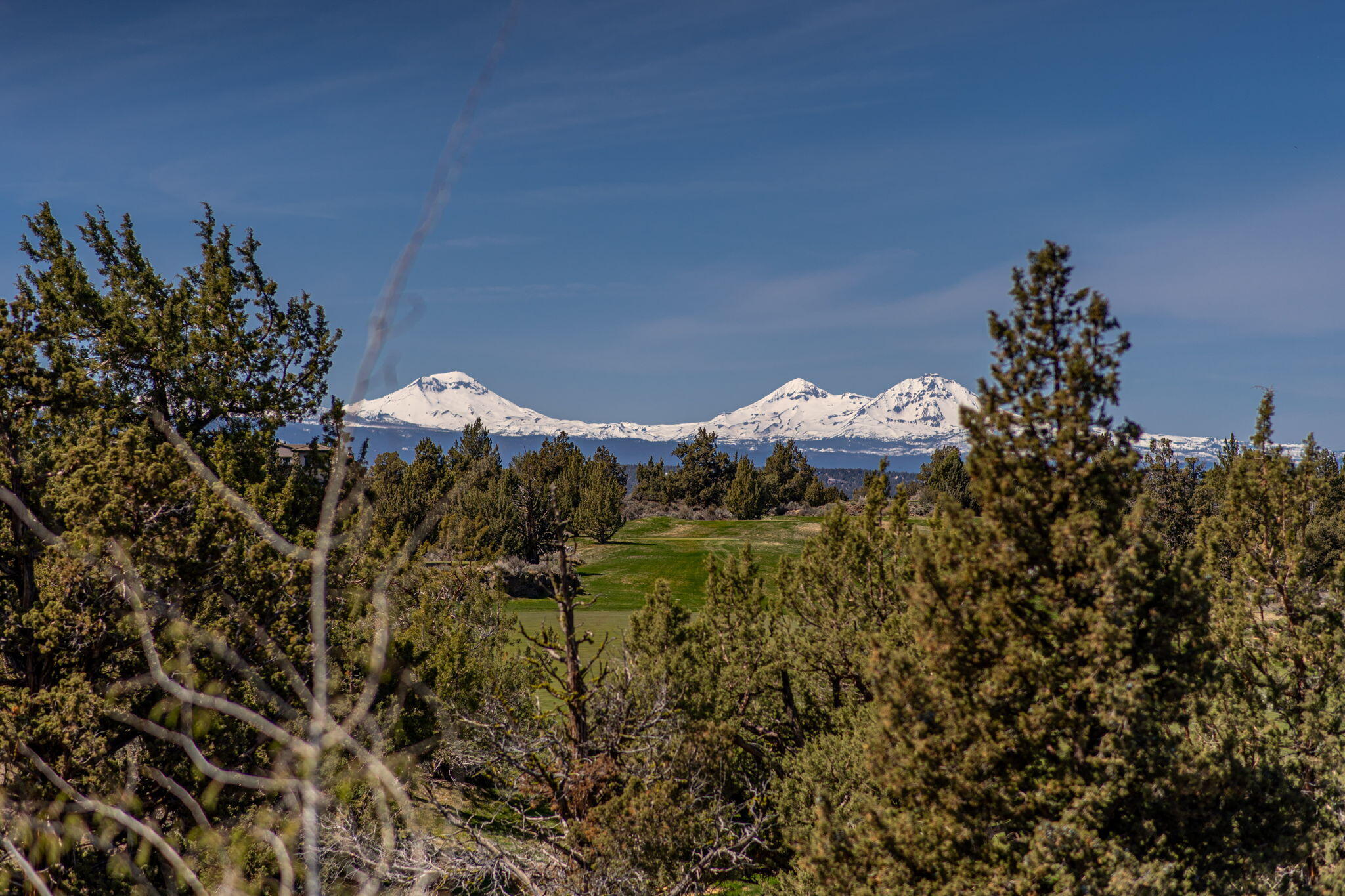 Pronghorn - Residential