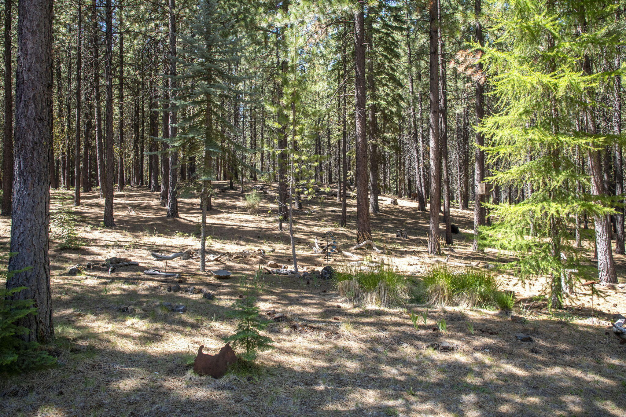 Black Butte Ranch - Residential