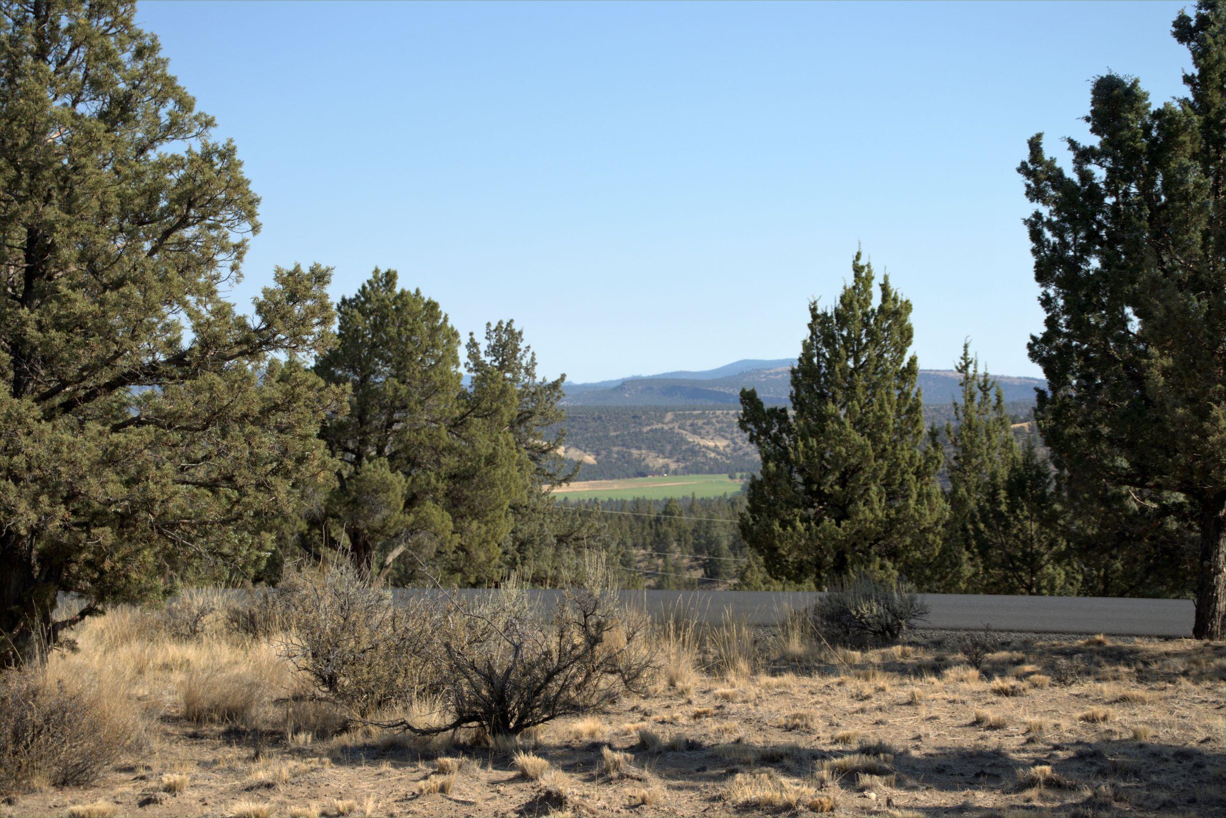 High Desert Estate - Residential