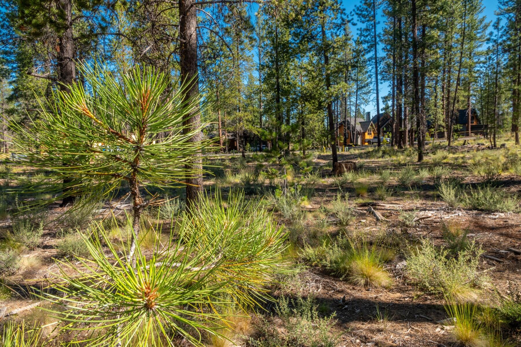 Caldera Springs - Land