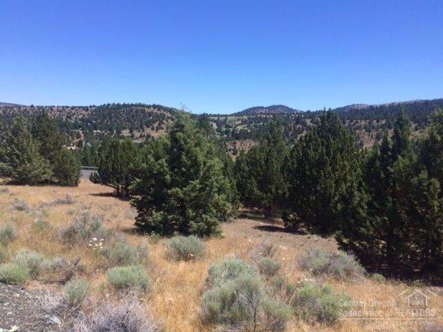 5.67 ACRES WITH MT VIEWS! Within Canyon City city limits , dividable, good access, zoned residential, city services available. $80,000 #819