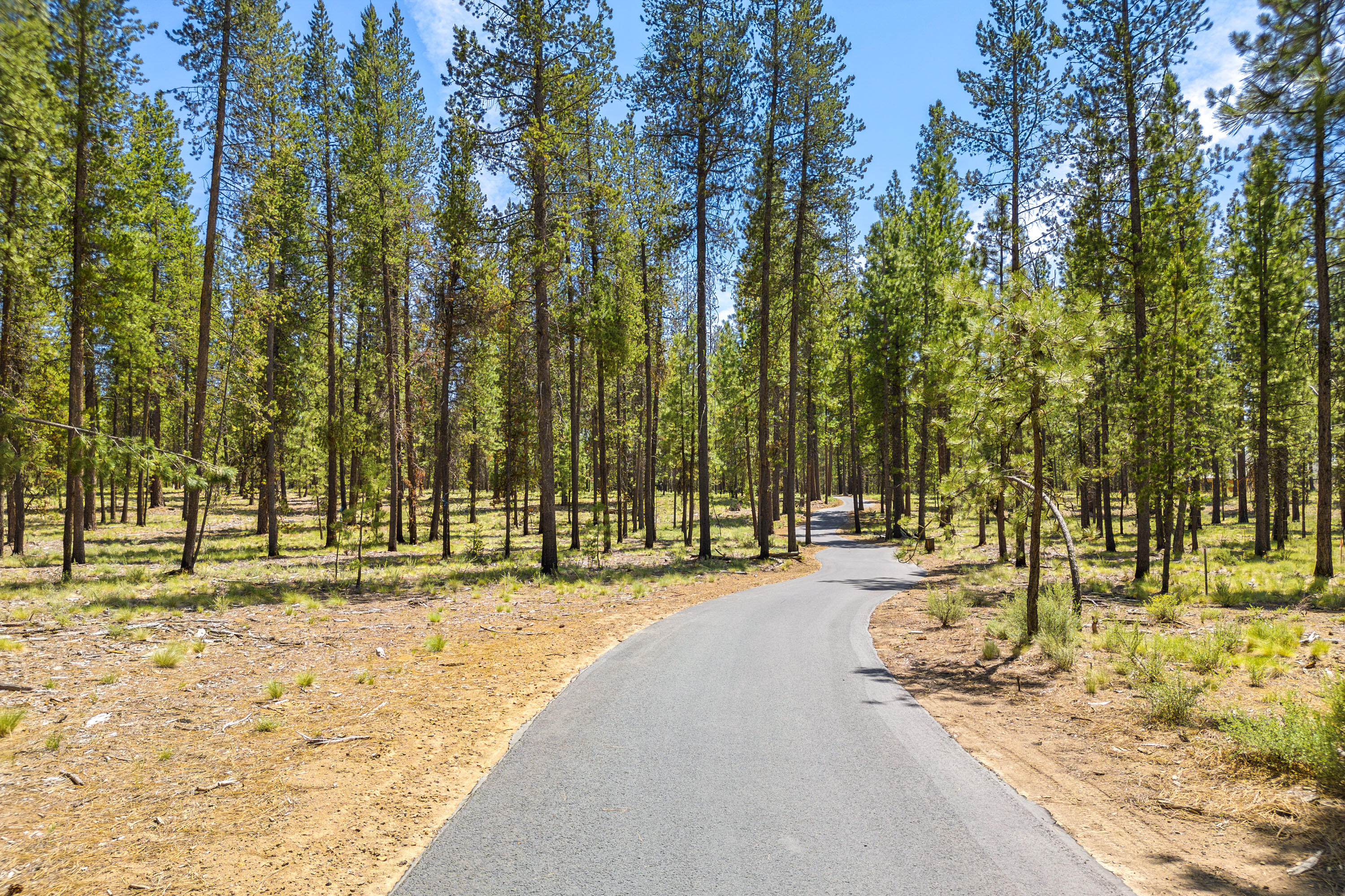 56281 Mirror Rock Loop Lot 362