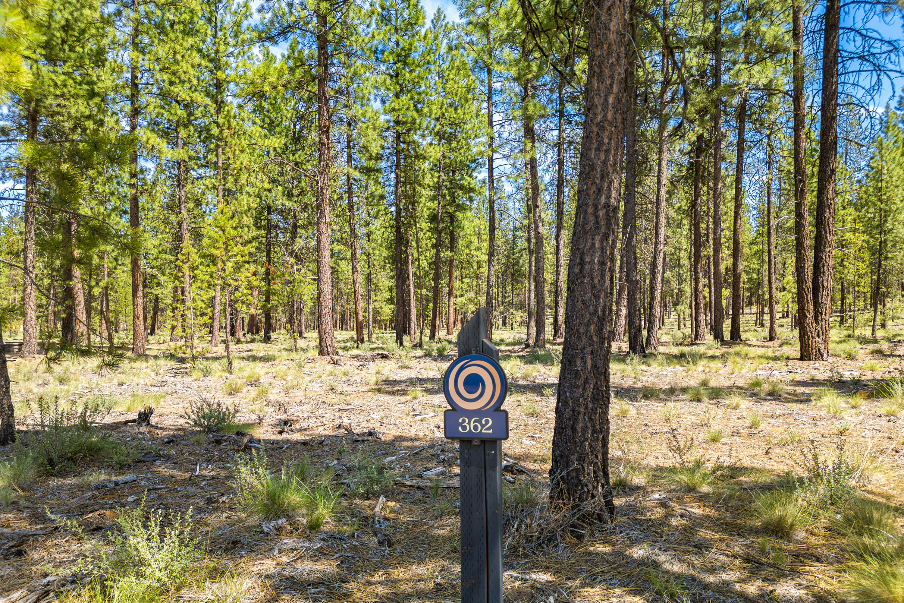 56281 Mirror Rock Loop Lot 362