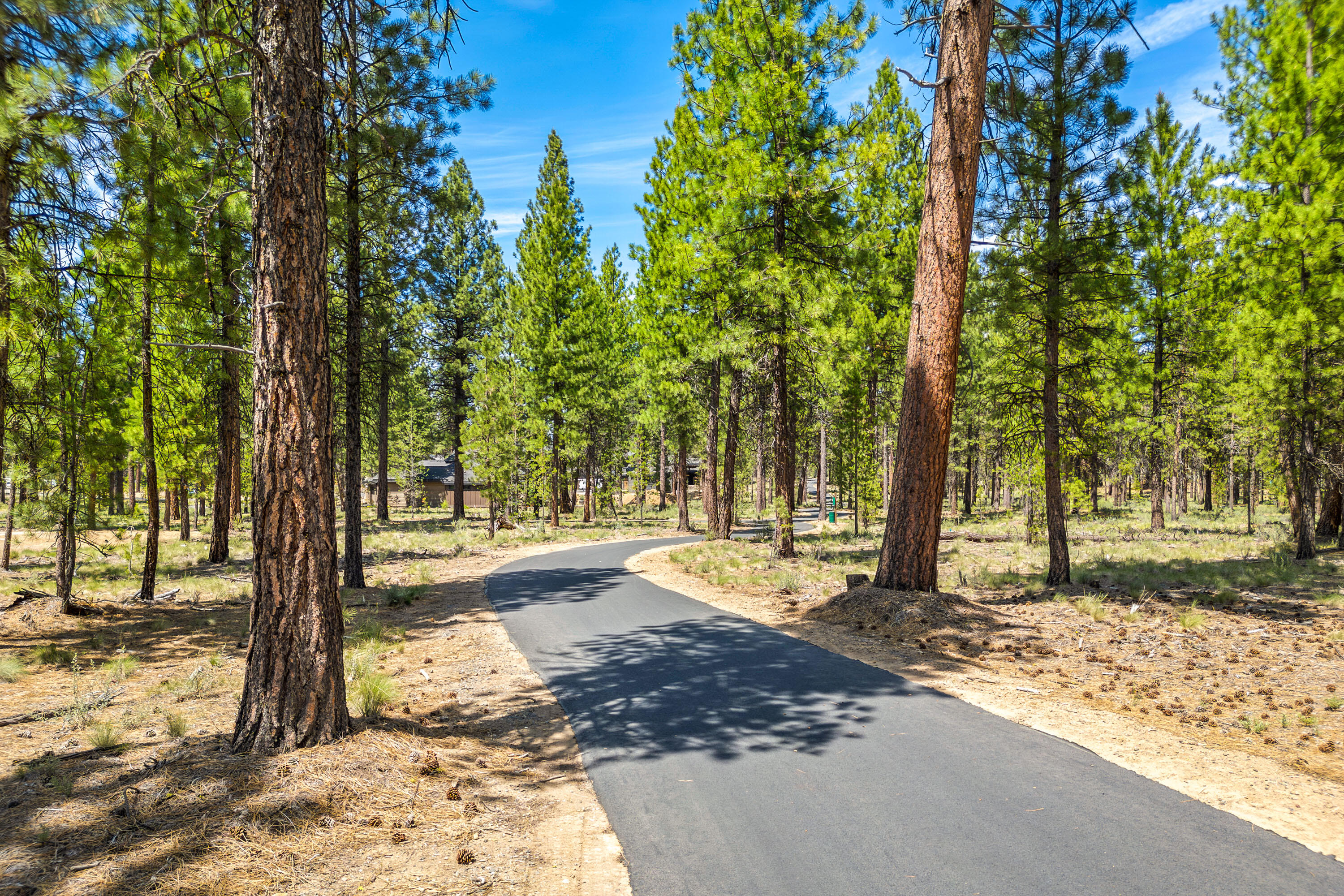 56281 Mirror Rock Loop Lot 362