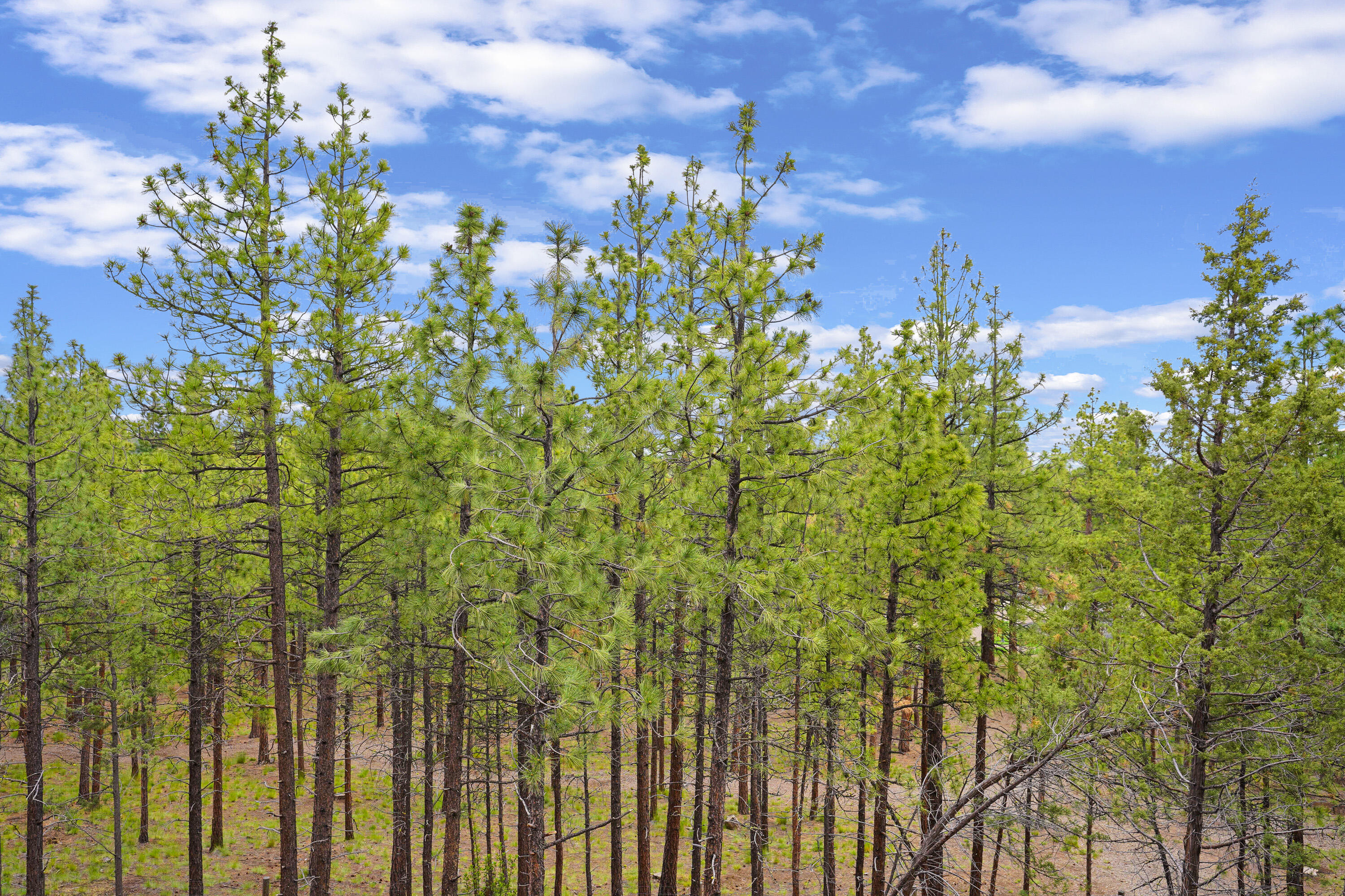 Marken Summit - Residential
