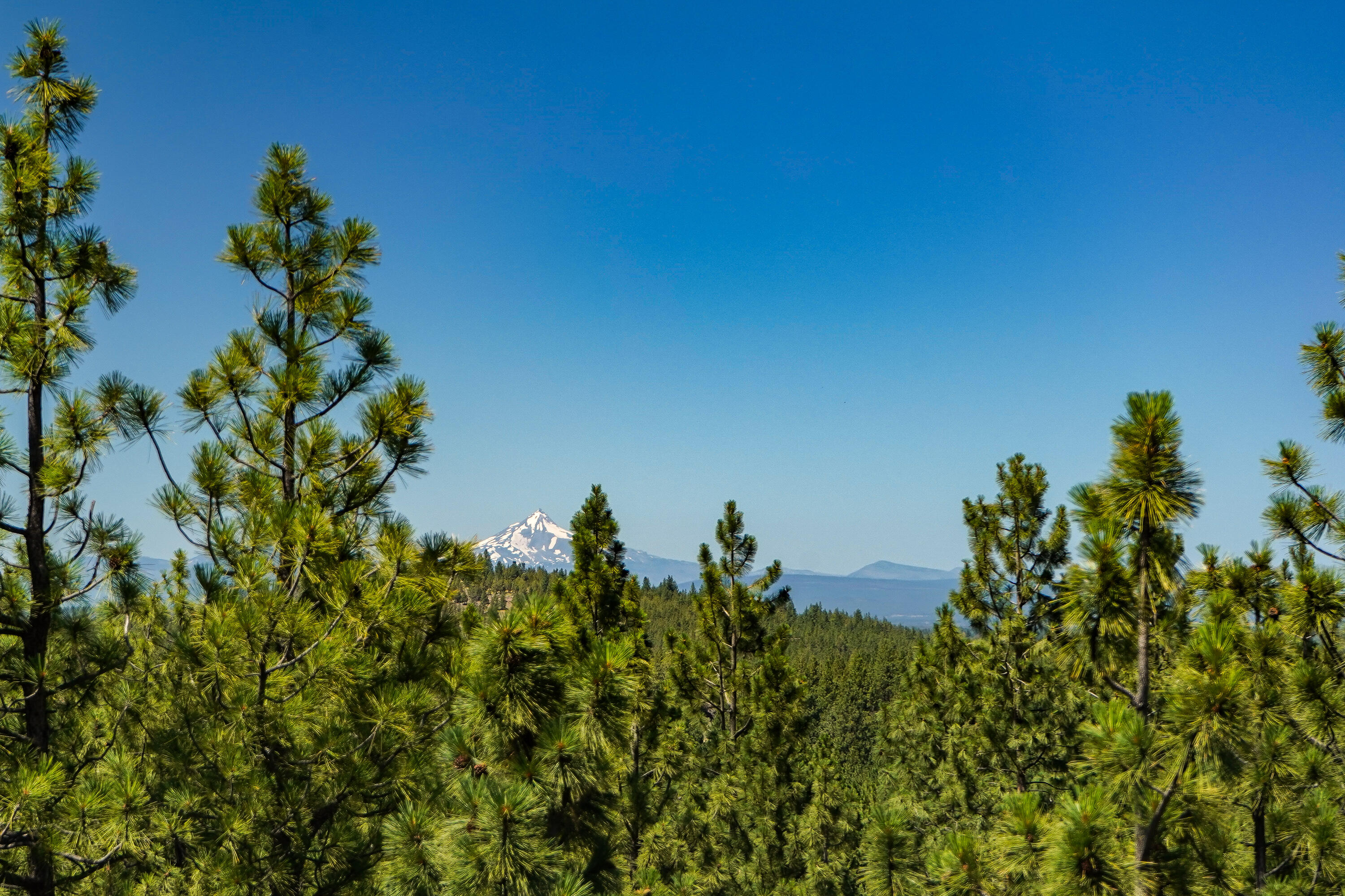 Marken Summit - Residential