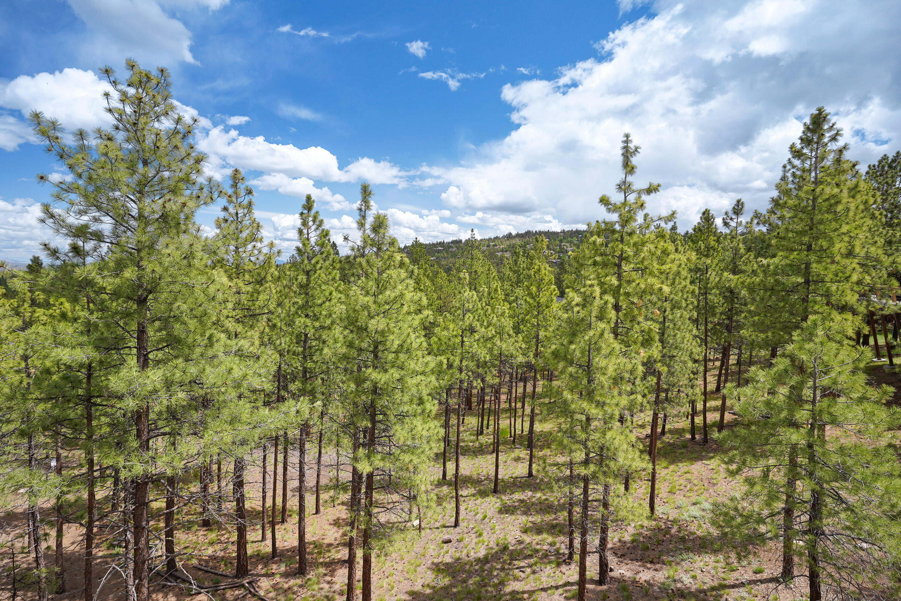 Marken Summit - Residential