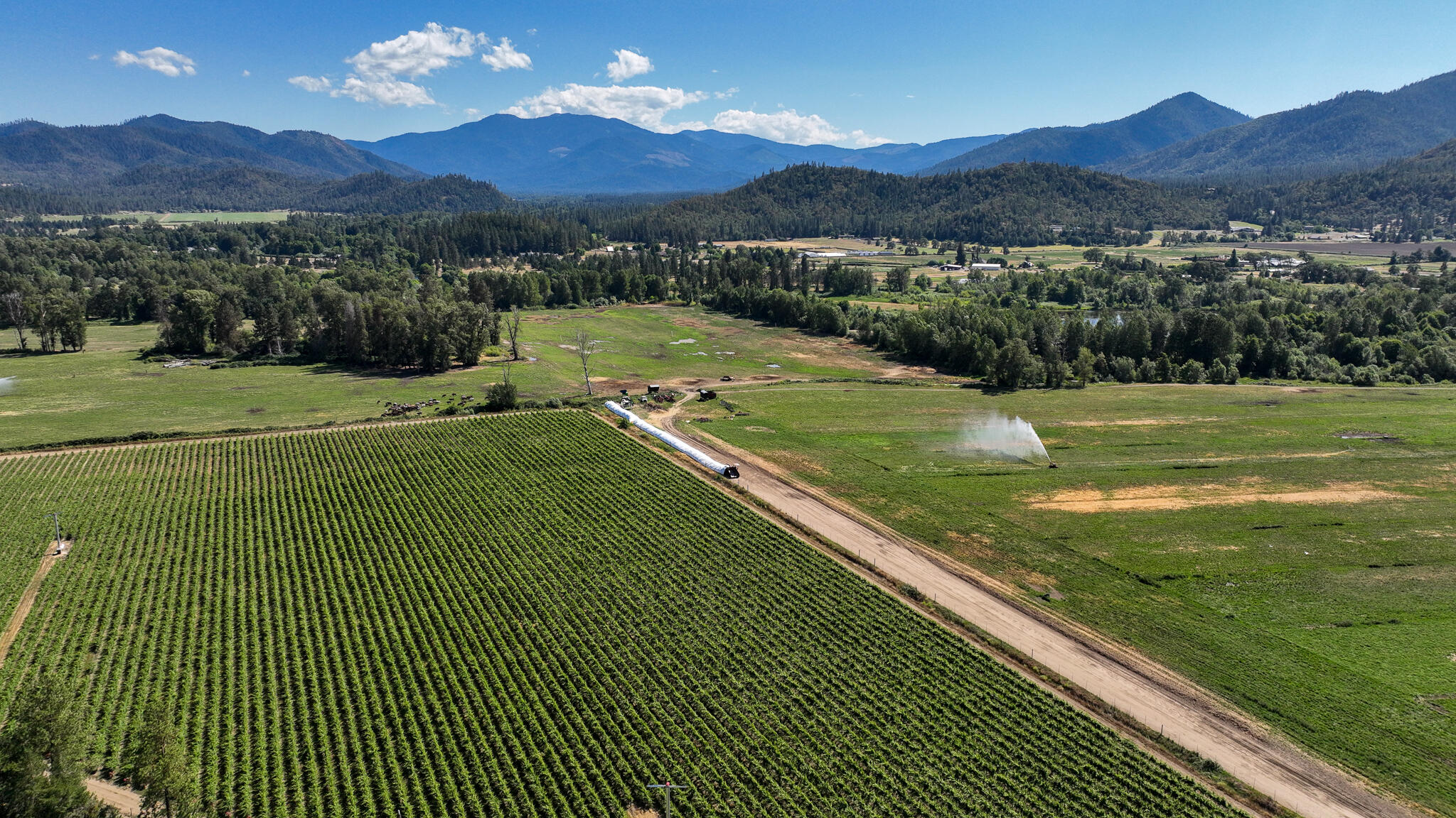 Red Hawk Subdivision - Residential