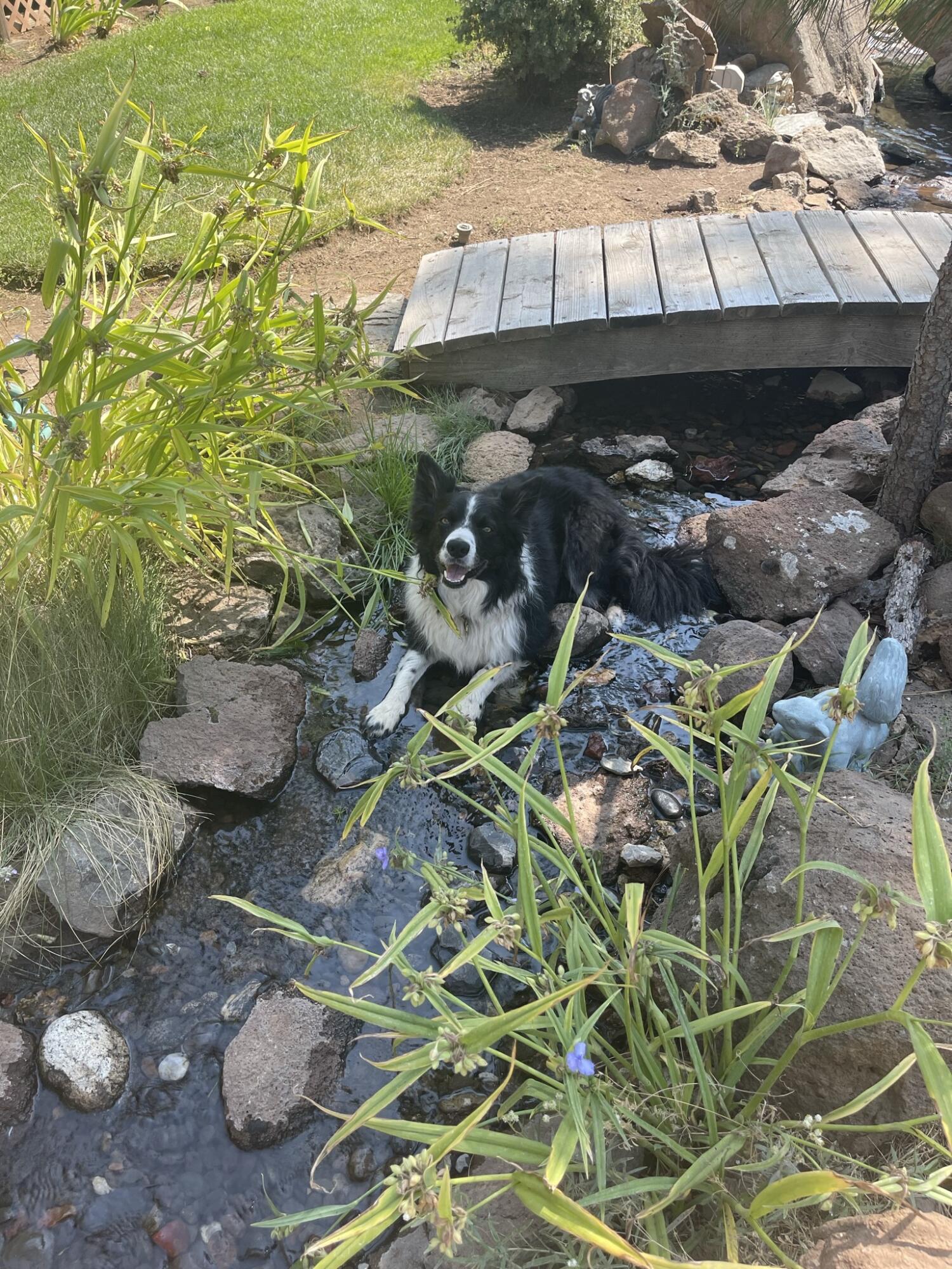 Panoramic View Est - Residential