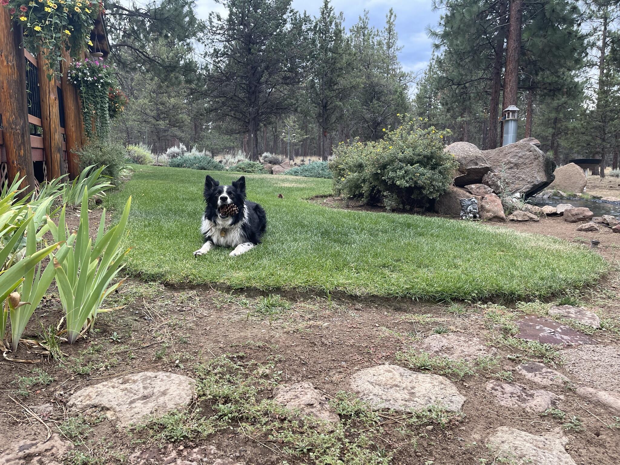 Panoramic View Est - Residential