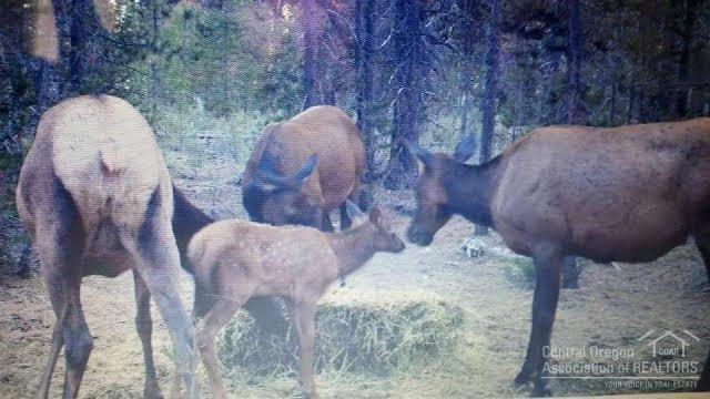 Newberry Estates - Residential