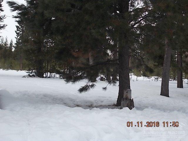 Newberry Estates - Residential