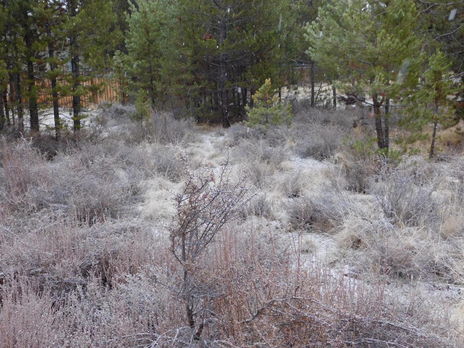 Peaceful Pines - Land